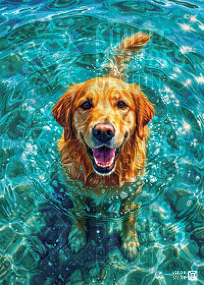 Goldie und das Meer